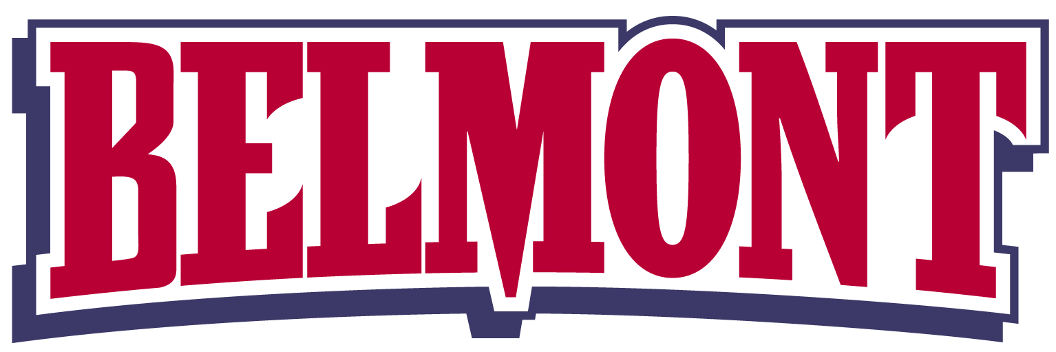 Belmont Bruins 2003-Pres Wordmark Logo DIY iron on transfer (heat transfer)